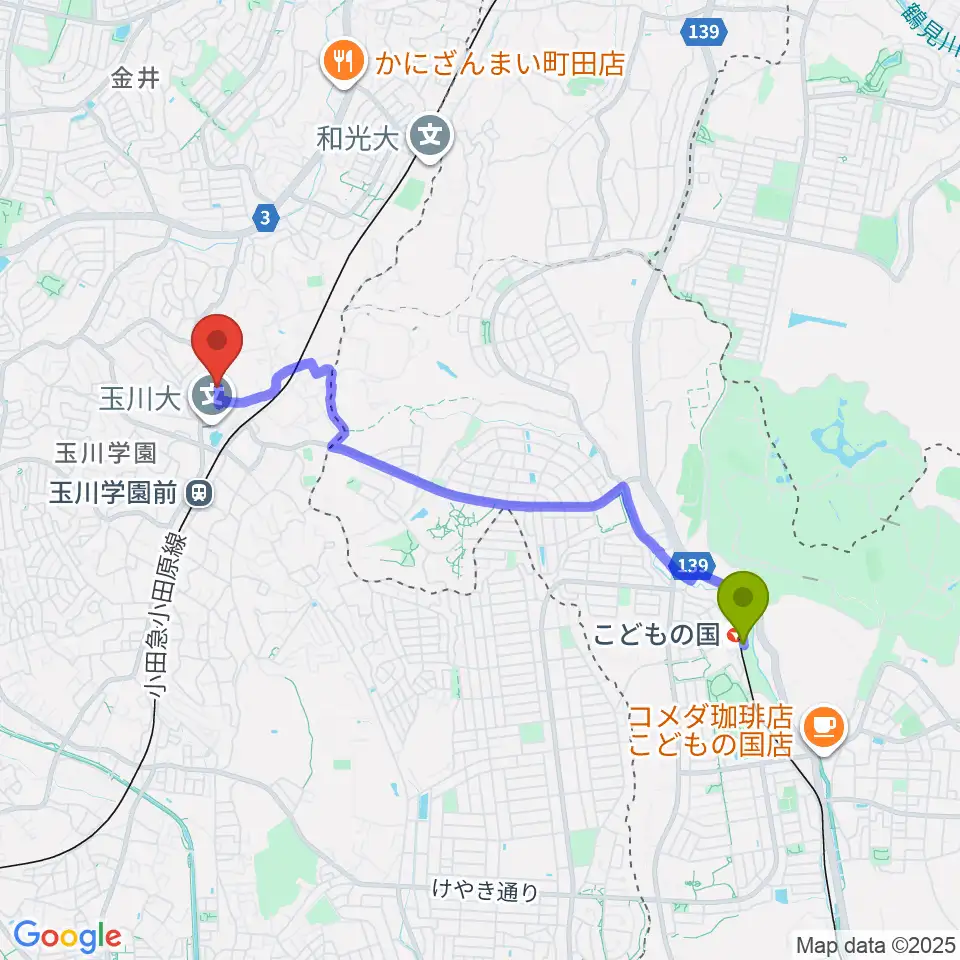 こどもの国駅から玉川大学芸術学部へのルートマップ地図
