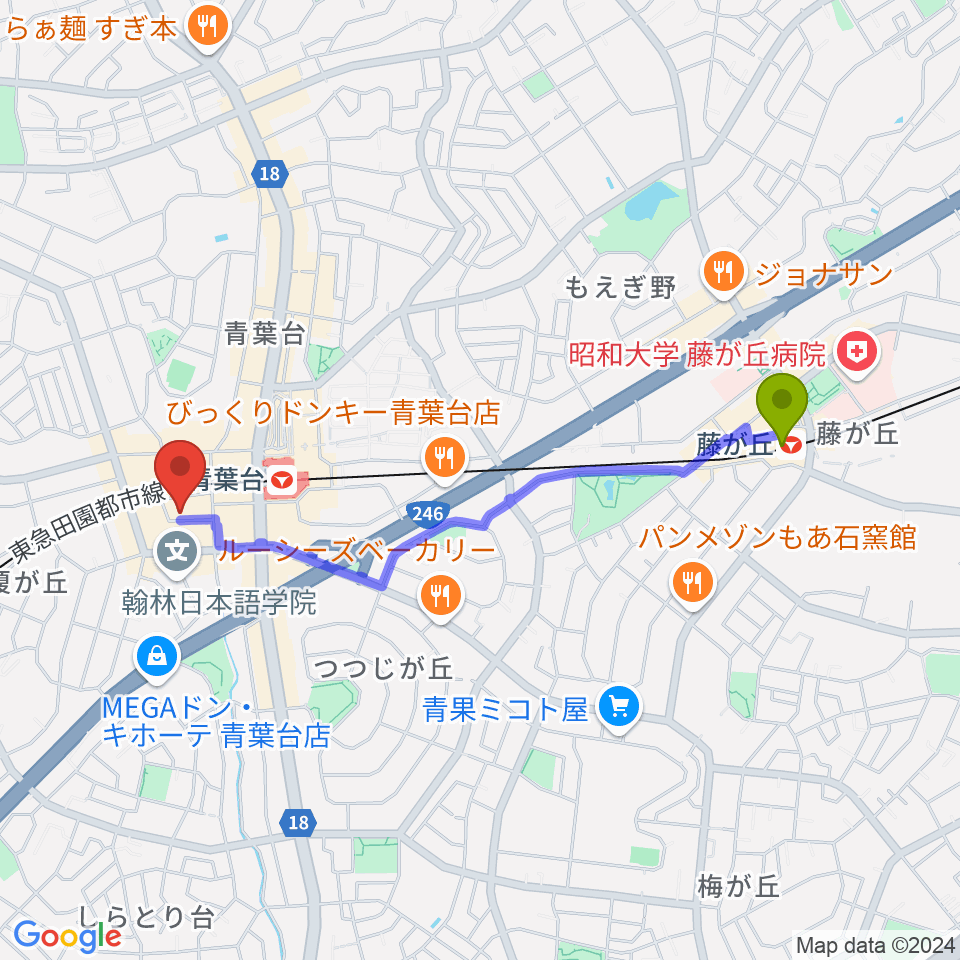 藤が丘駅から弦楽器サラサーテへのルートマップ地図