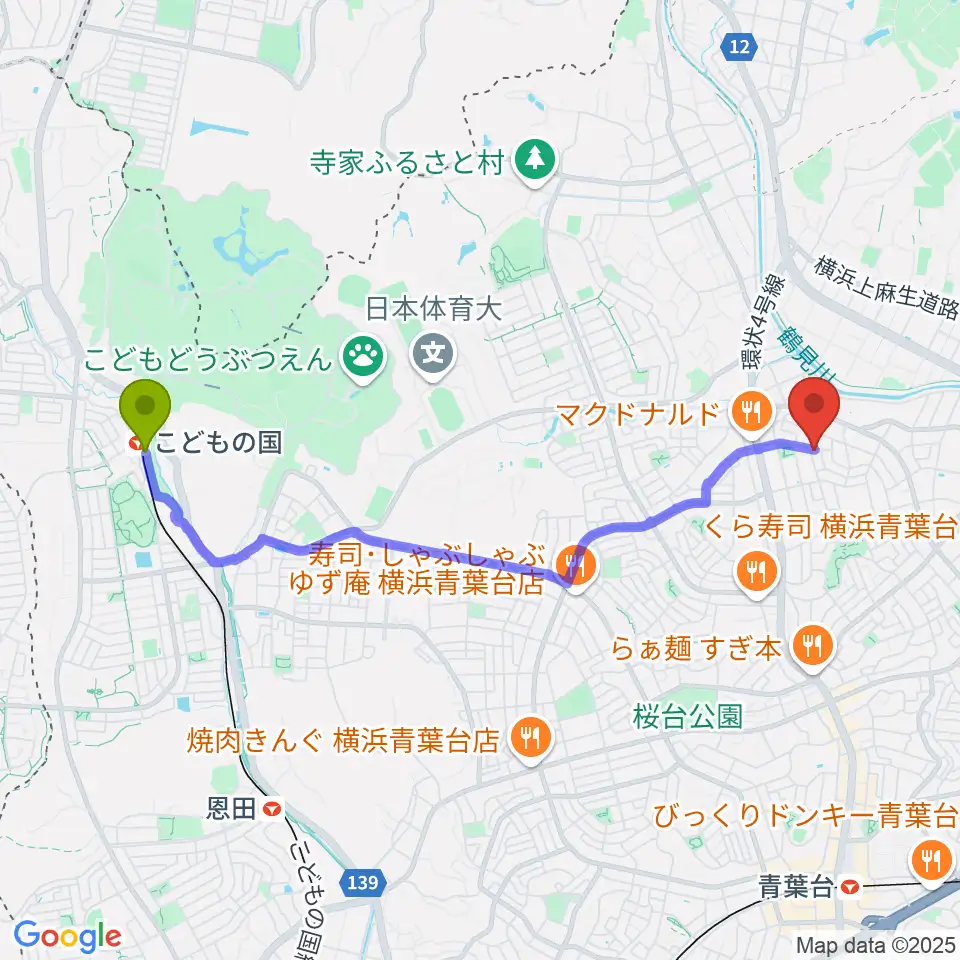 こどもの国駅から野村ピアノ教室へのルートマップ地図