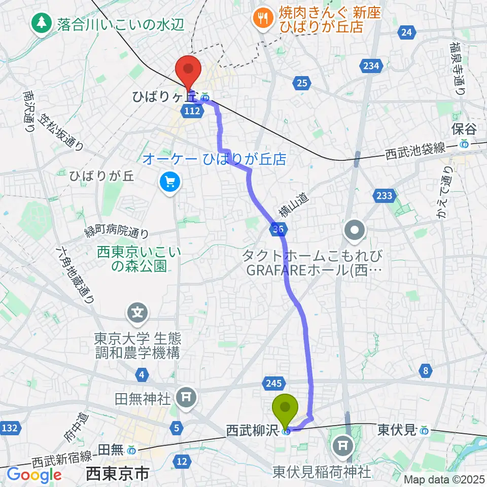 西武柳沢駅からひばりが丘カルチャーセンターへのルートマップ地図