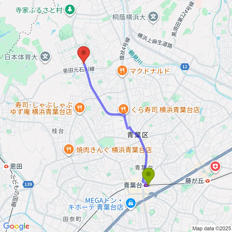 青葉台駅から中古レコードのタチバナへのルートマップ地図