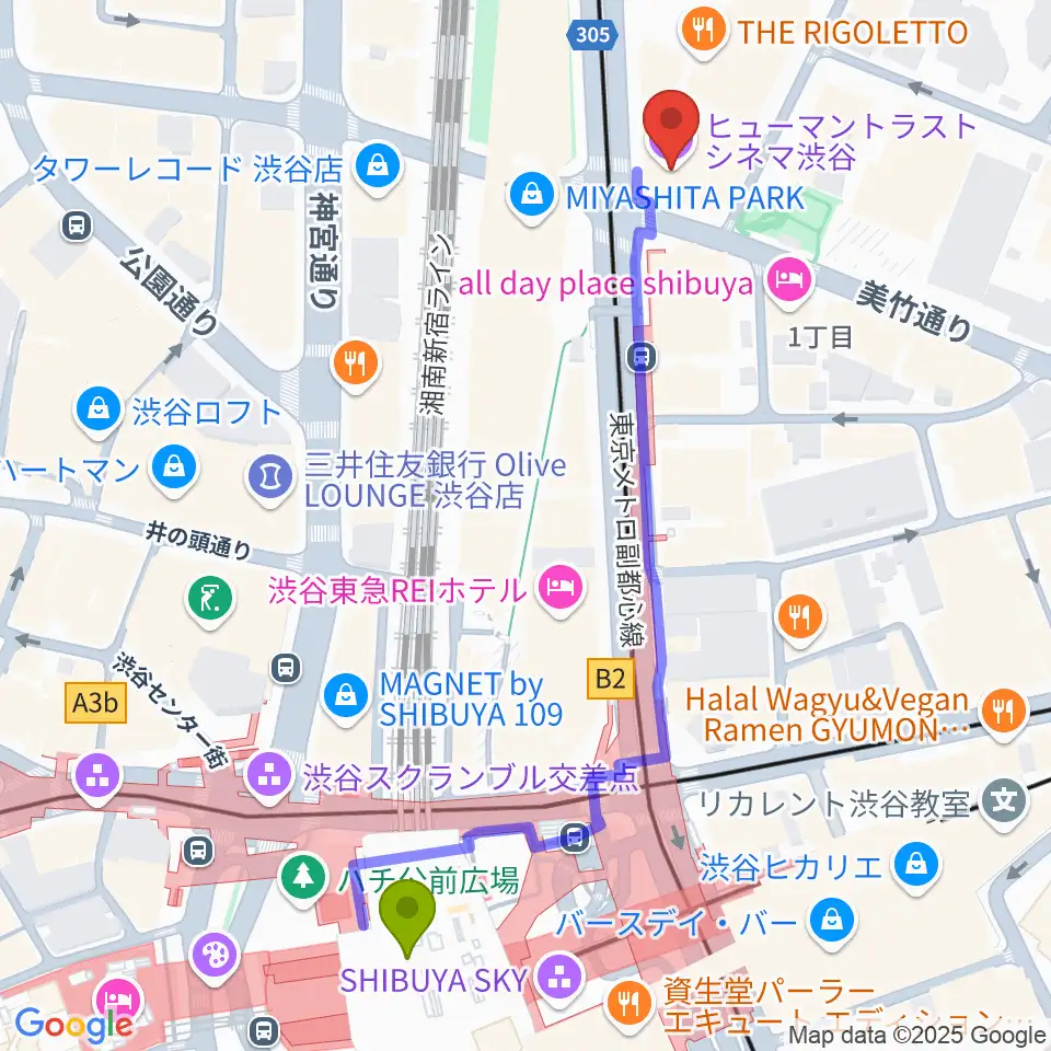 ヒューマントラストシネマ渋谷の最寄駅渋谷駅からの徒歩ルート（約6分）地図