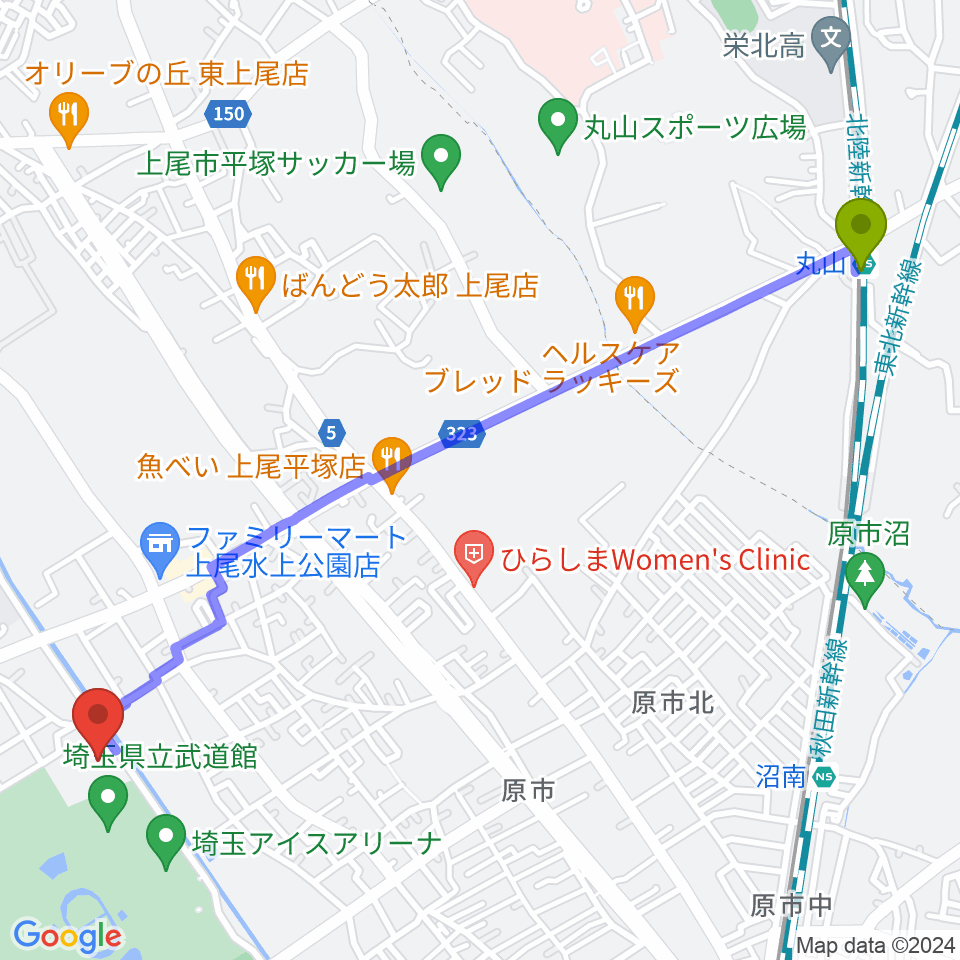 丸山駅から埼玉県立スポーツ総合センターへのルートマップ地図