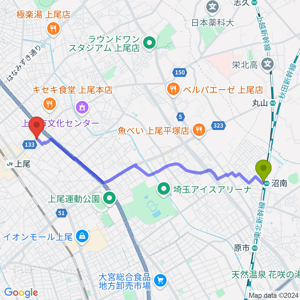 沼南駅からニコニコ堂上尾センターへのルートマップ地図