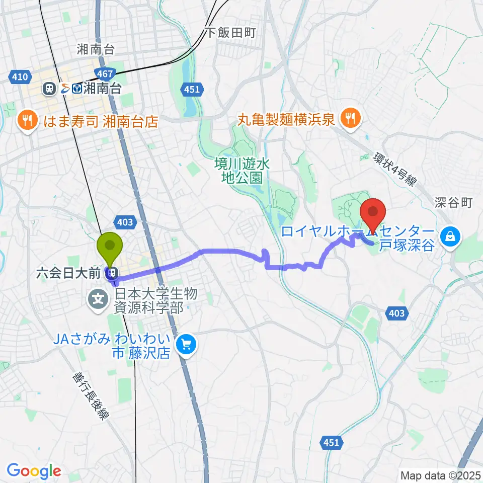 俣野公園・横浜薬大スタジアムの最寄駅六会日大前駅からの徒歩ルート（約34分）地図