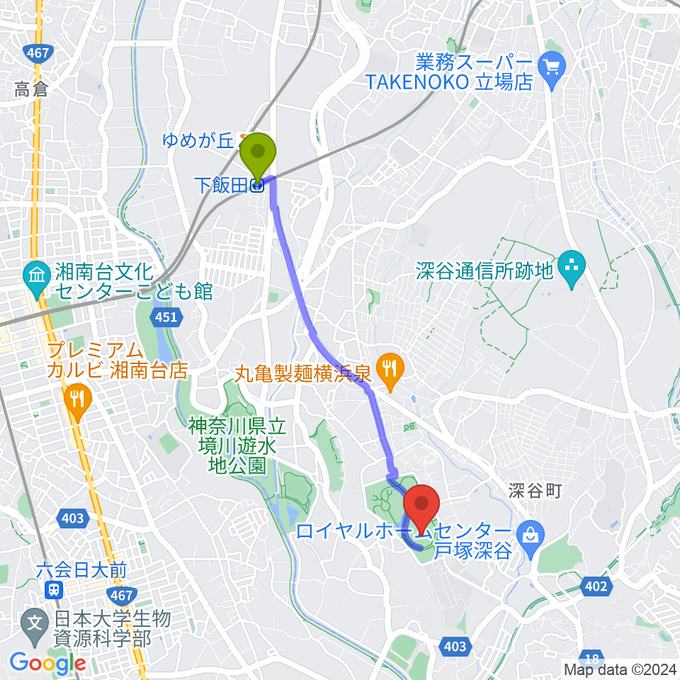 下飯田駅から俣野公園・横浜薬大スタジアムへのルートマップ地図