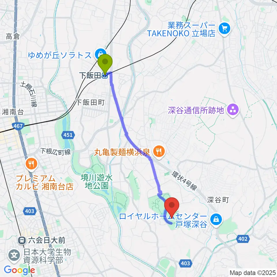 下飯田駅から俣野公園・横浜薬大スタジアムへのルートマップ地図