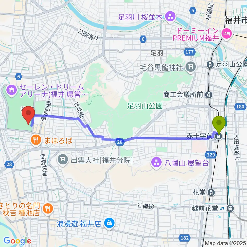 赤十字前駅から福井県営水泳場へのルートマップ地図