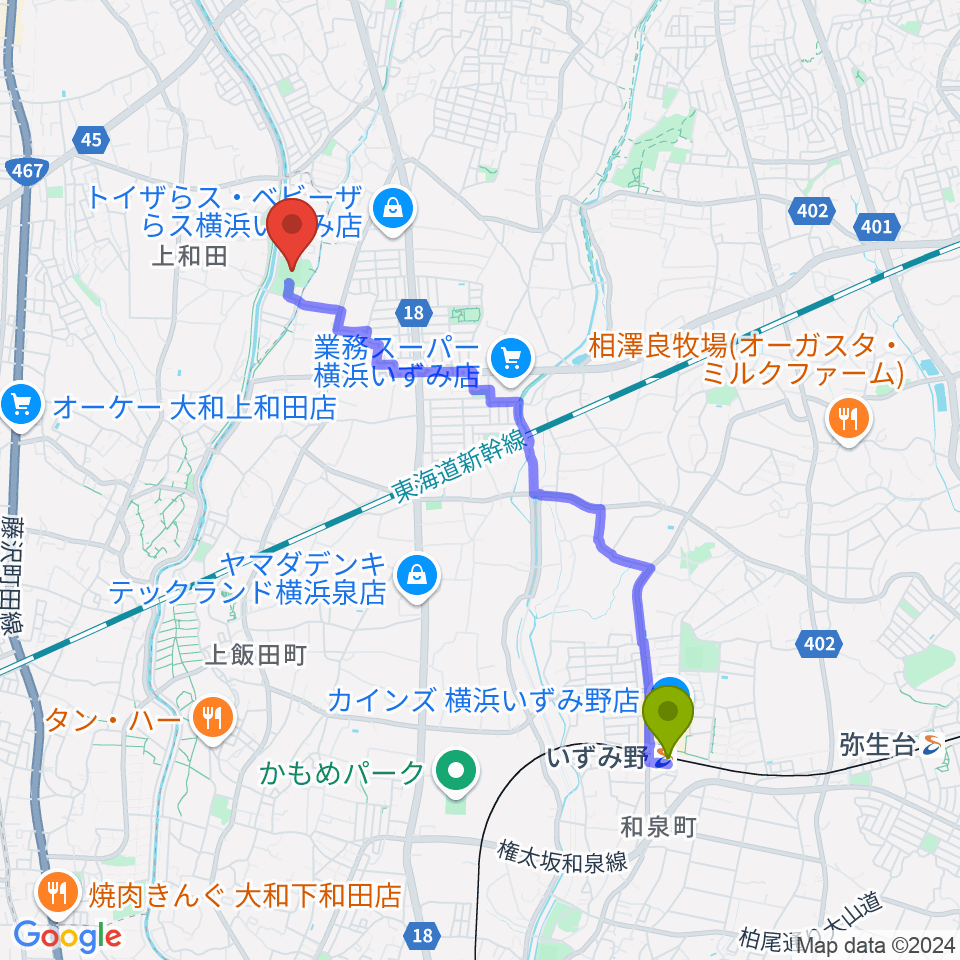 いずみ野駅から宮久保野球場へのルートマップ地図