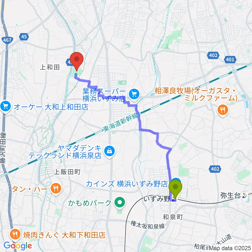 いずみ野駅から宮久保野球場へのルートマップ地図