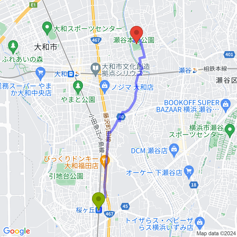 桜ヶ丘駅から瀬谷本郷公園野球場へのルートマップ地図