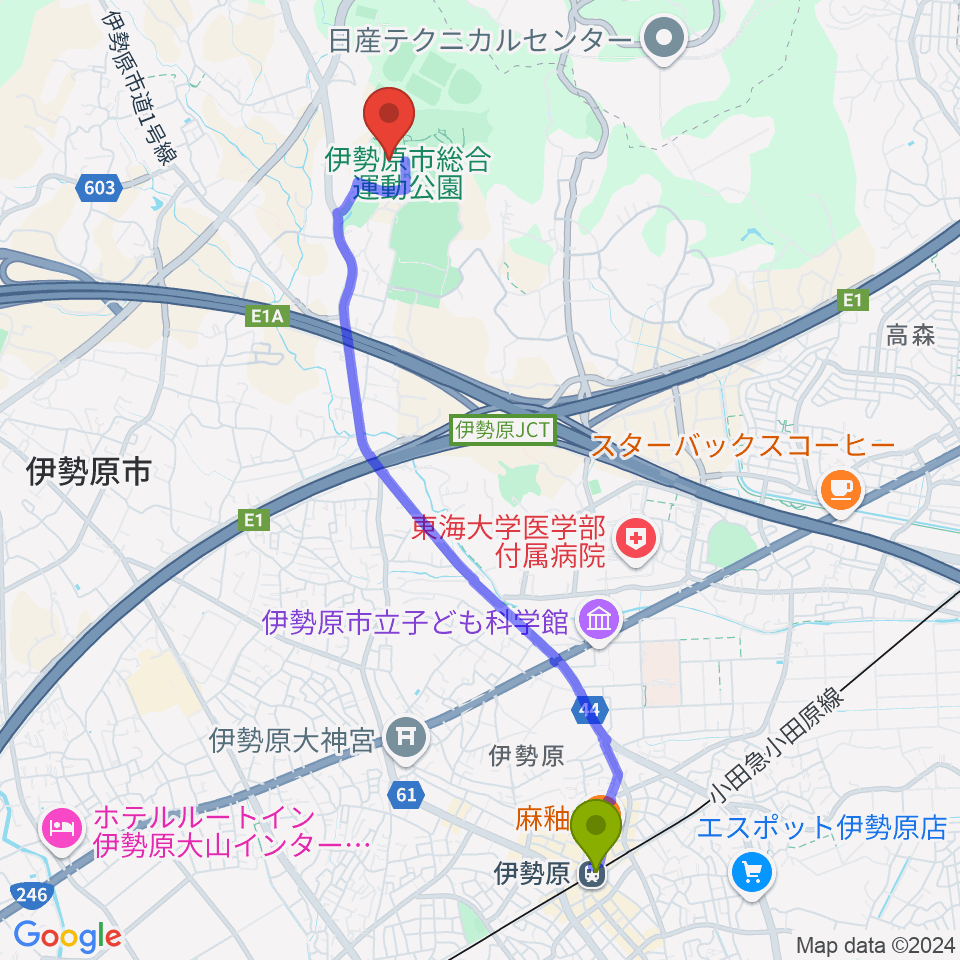 伊勢原市総合運動公園自由広場の最寄駅伊勢原駅からの徒歩ルート（約48分）地図