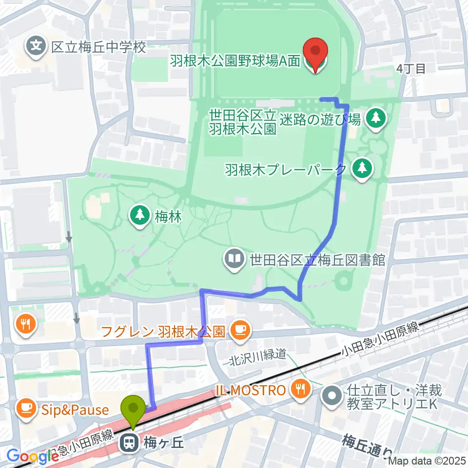 梅ヶ丘駅から羽根木公園野球場へのルートマップ地図