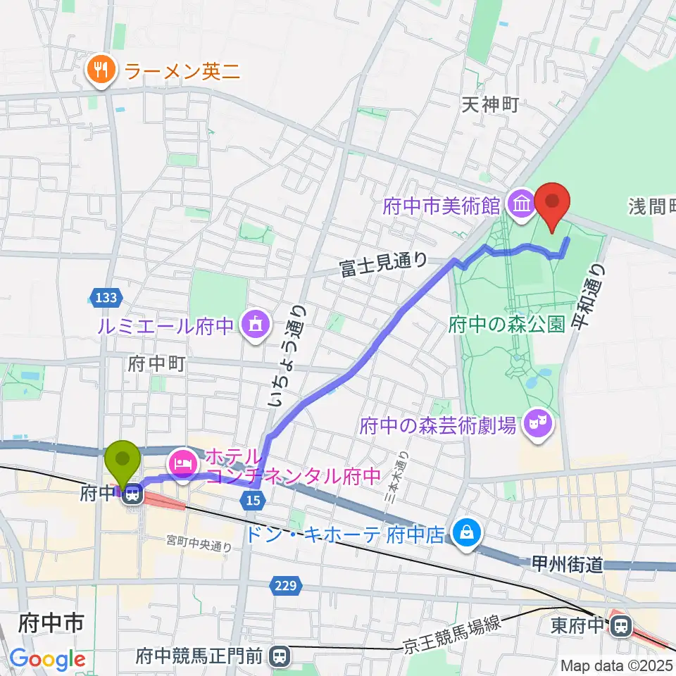 府中駅から府中の森公園小野球場へのルートマップ地図