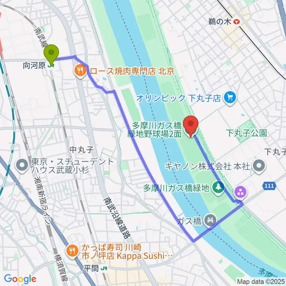 向河原駅から多摩川ガス橋緑地野球場へのルートマップ地図