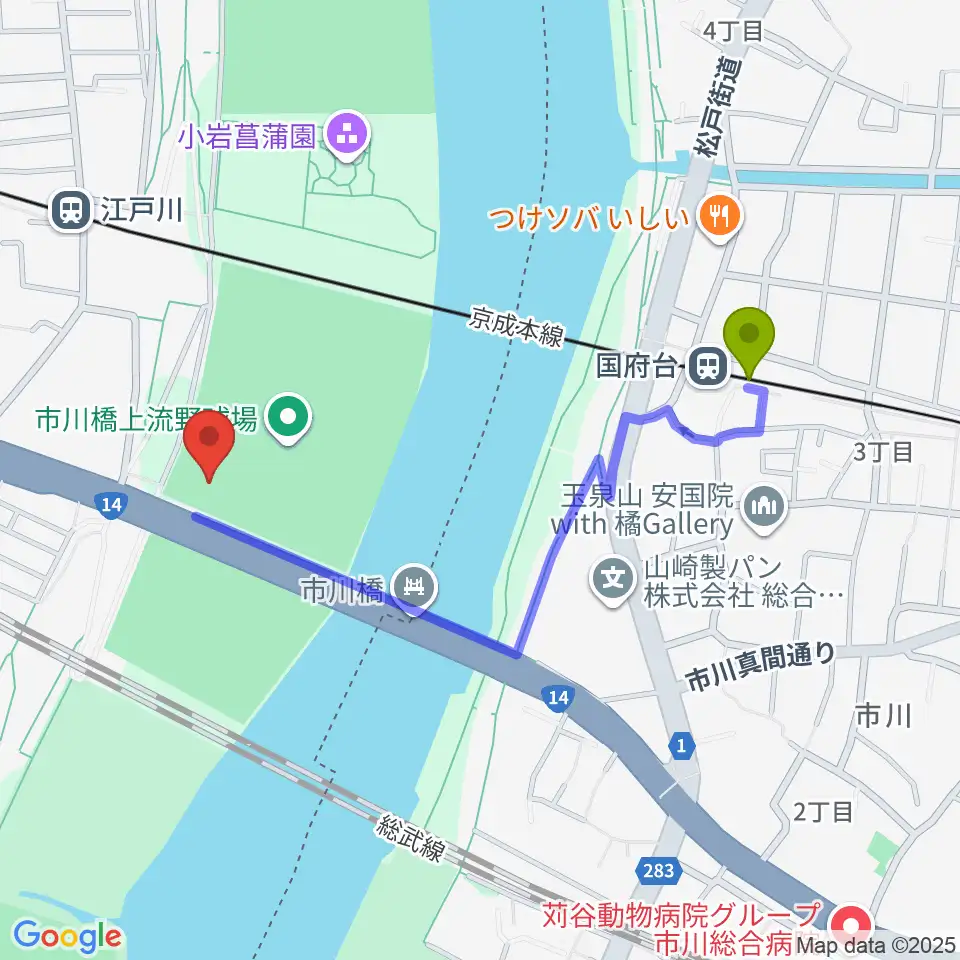 国府台駅から市川橋上流野球場へのルートマップ地図