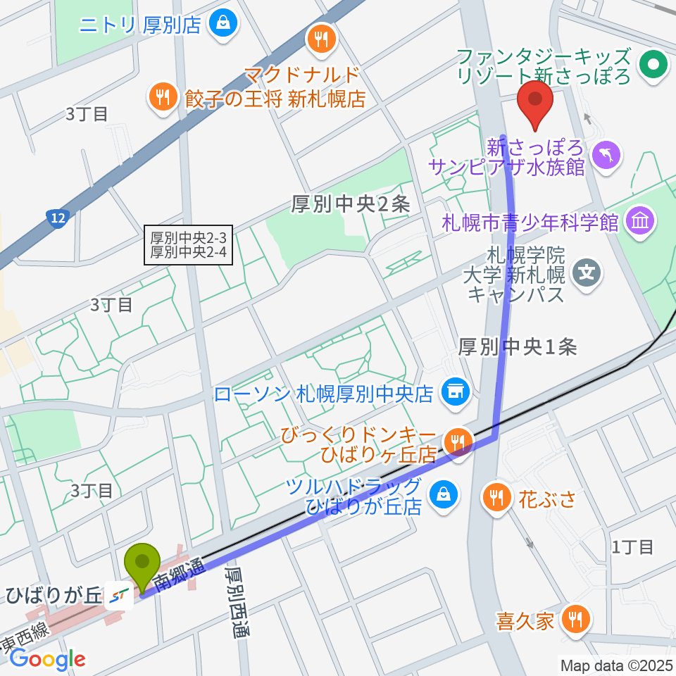 ひばりが丘駅から札幌市厚別区体育館へのルートマップ地図