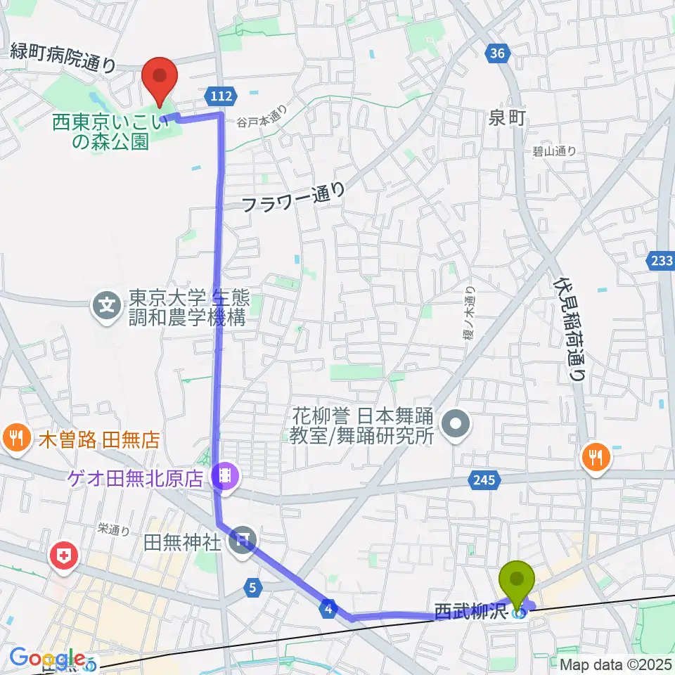 西武柳沢駅から西東京いこいの森公園ボール広場へのルートマップ地図