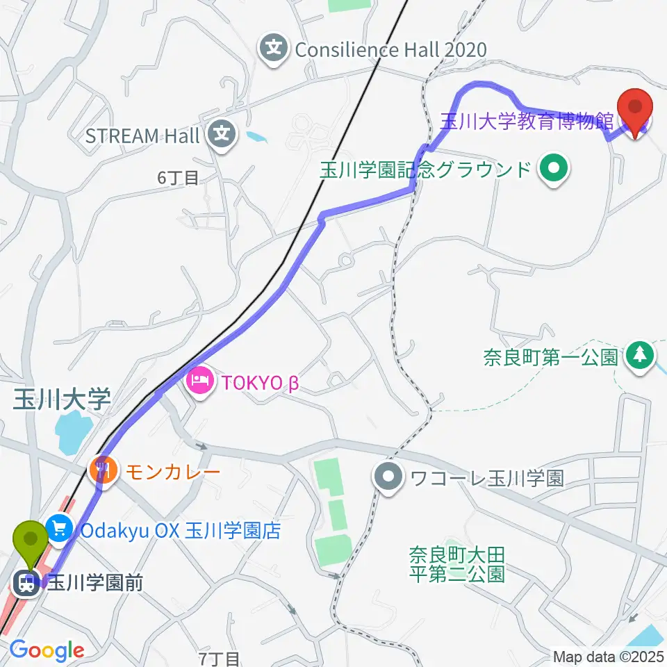 玉川大学教育博物館の最寄駅玉川学園前駅からの徒歩ルート（約17分）地図